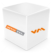 Virtuelle Machine ansitel